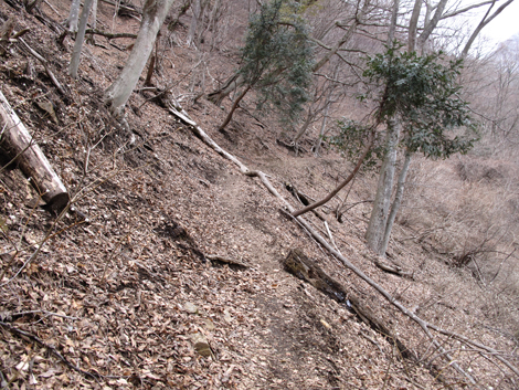 20160218hike (45)
